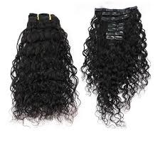 Mink Water Wave Clip-In's